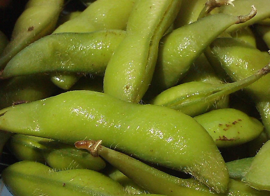 Can Dogs Eat Edamame Beans