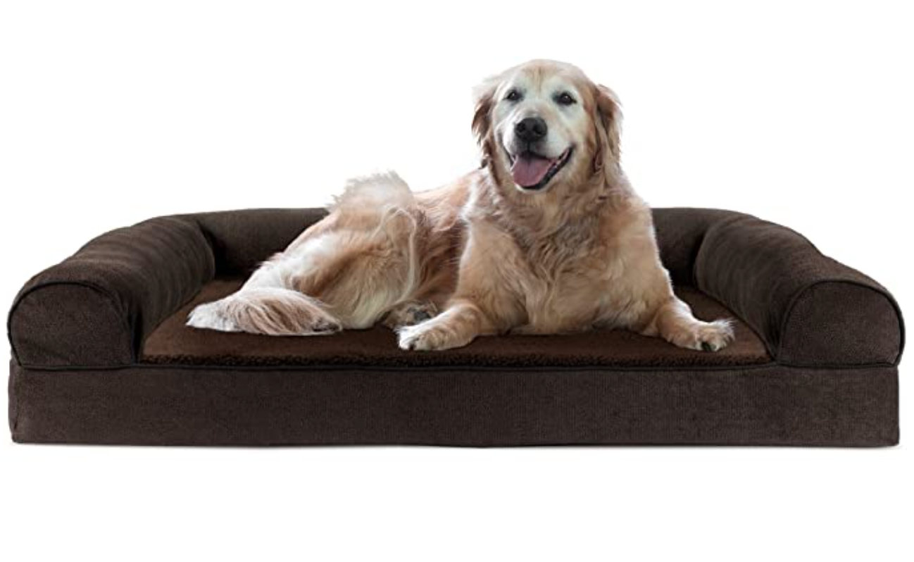 Amazon Dog Beds Review