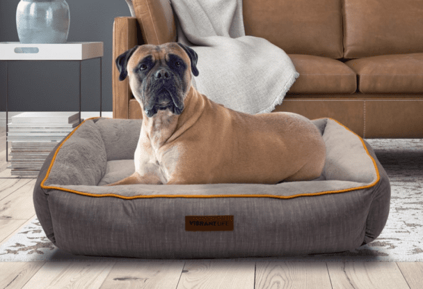 Vibrant Life Dog Beds (exclusive Walmart brand)