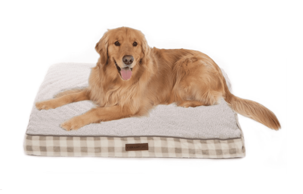 vibrant life dog pillow