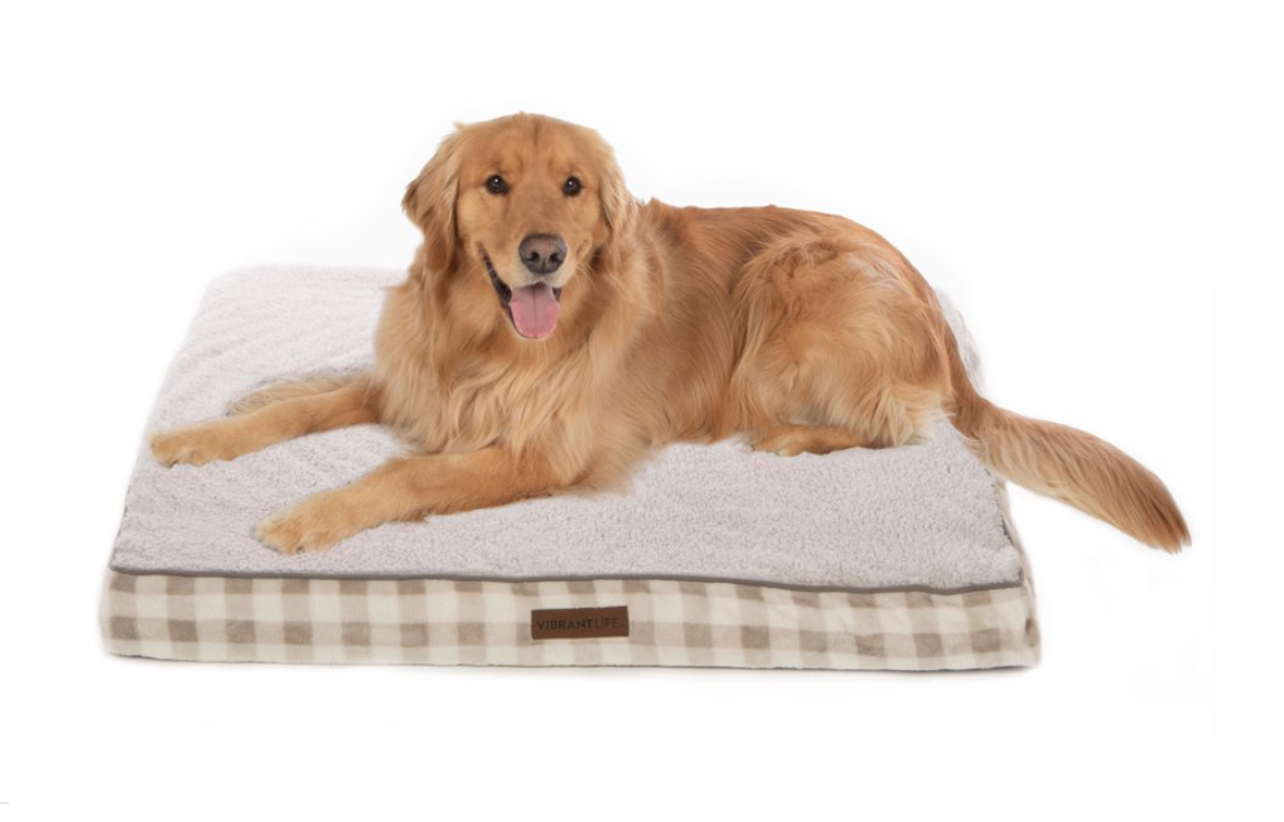 Vibrant Life Dog Beds