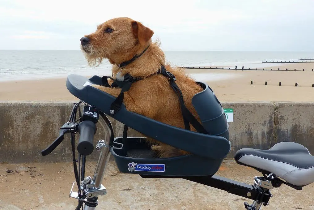 Buddyrider dog bike seat