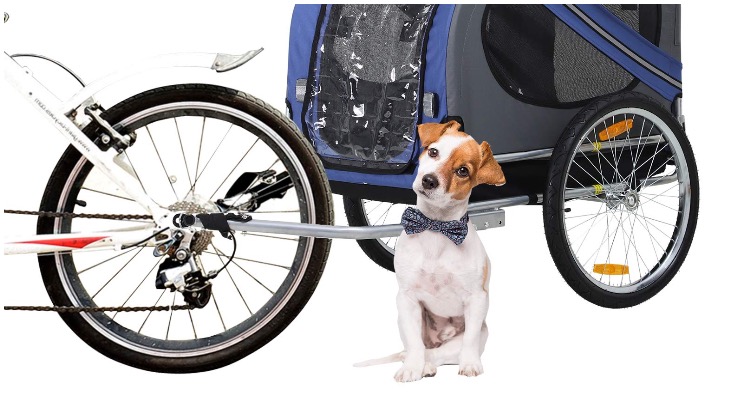 An adorable Jack Russell standing in front of a canine trailer for bicycles 