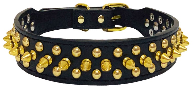 Black faux leather with golden spikes dog collar
