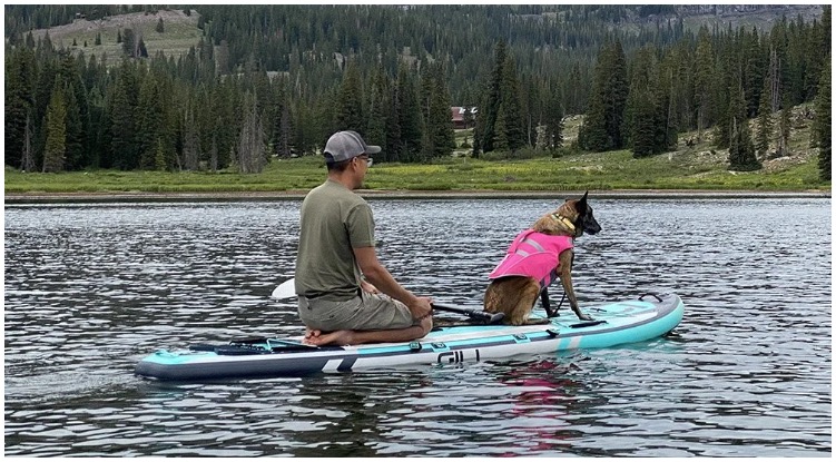 Happy canine owner teaching his dog how to paddle board