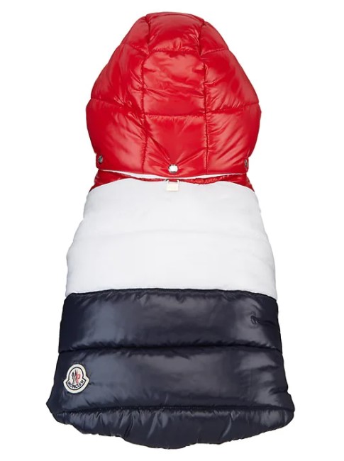 jacket for dogs from moncler