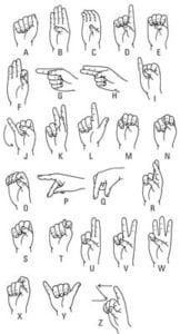 Dog Sign Language: How To Communicate With A Deaf Dog?