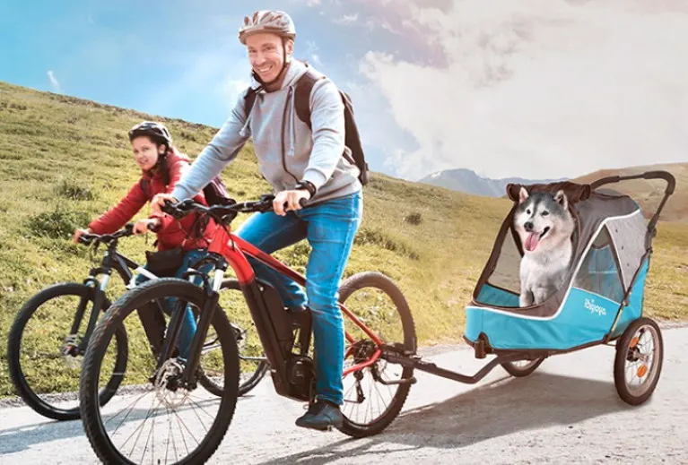 golden retriever bike trailer