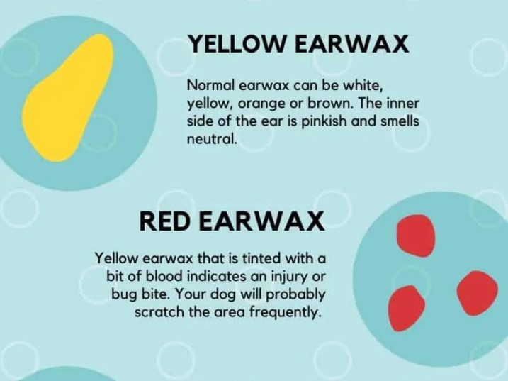 dog ear wax color chart