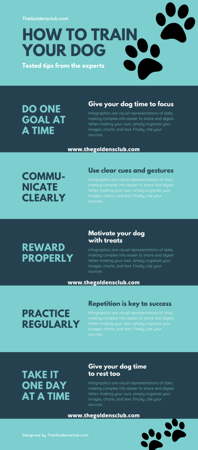 How To House Train A Dog