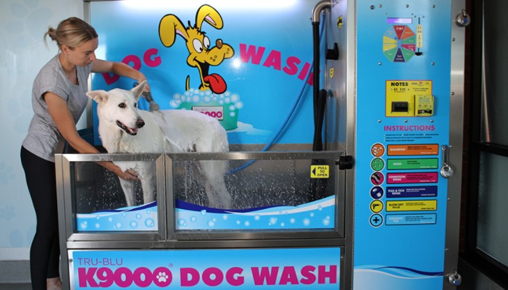 dog wash station