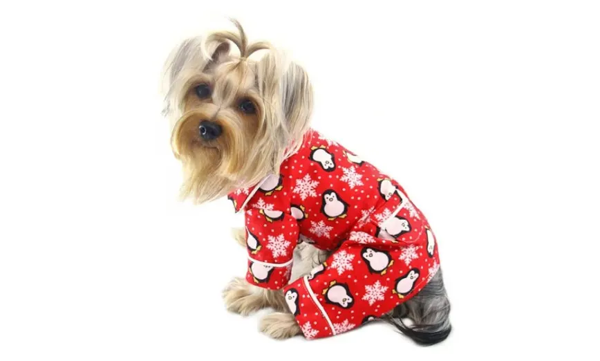 merry christmas dog pajama