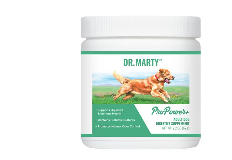 Dr. Marty ProPower Plus: Is It Worth Your Money?