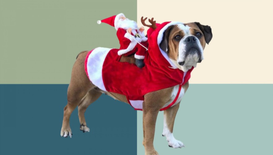 dog ugly Christmas sweater