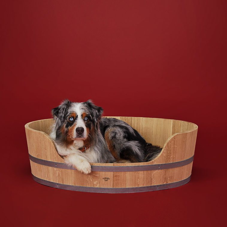 Hermes dog bed Is it worth it?