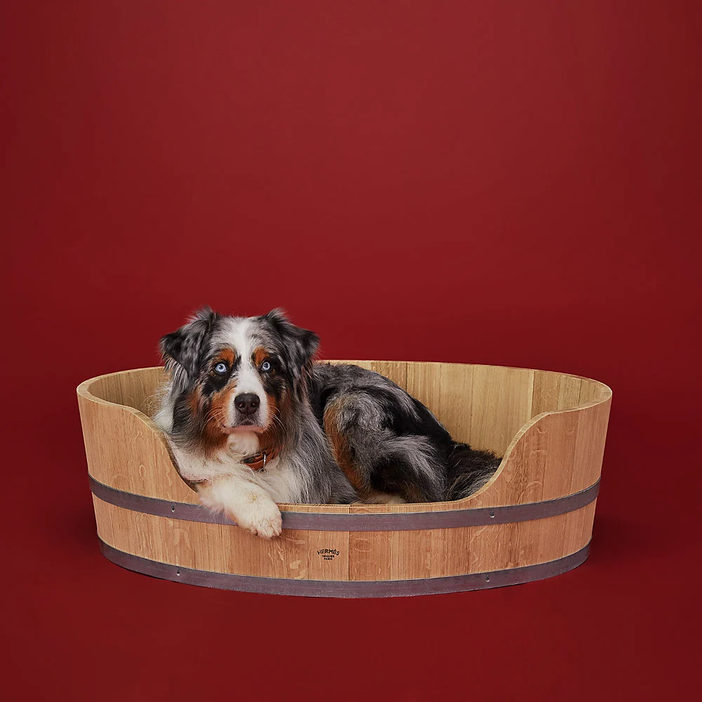 Hermes dog bed