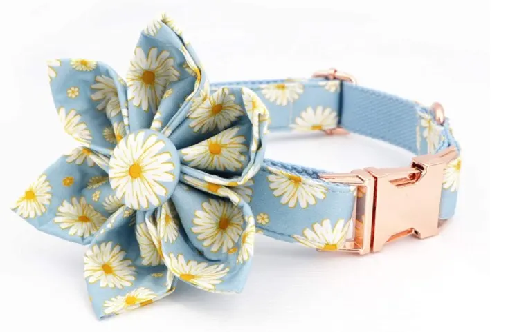 daisy dog collar with flower