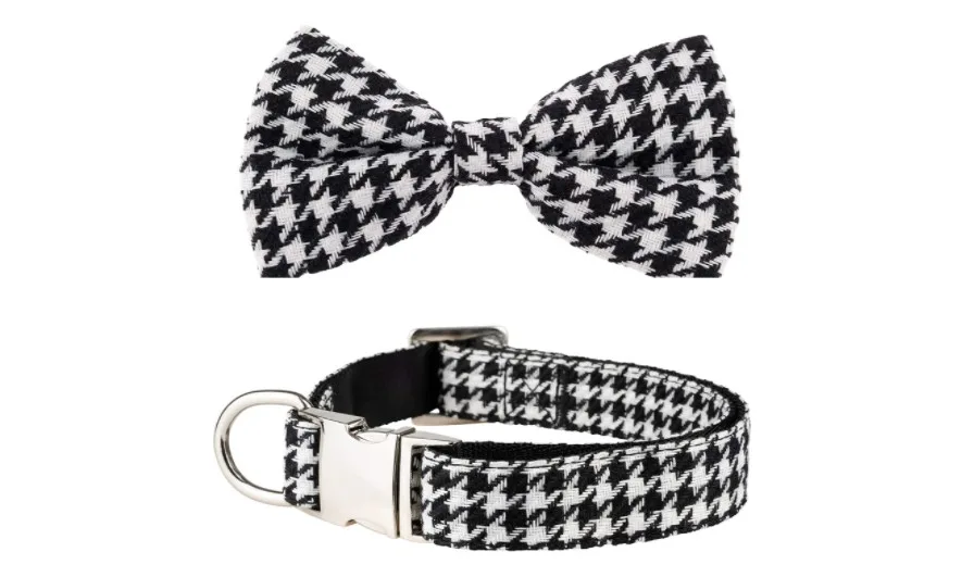black and white dog collar