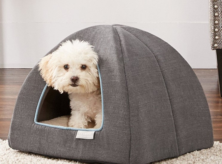 Dog house bed: A cozy hiding place for your pooch