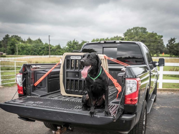 truck bed dog kennel