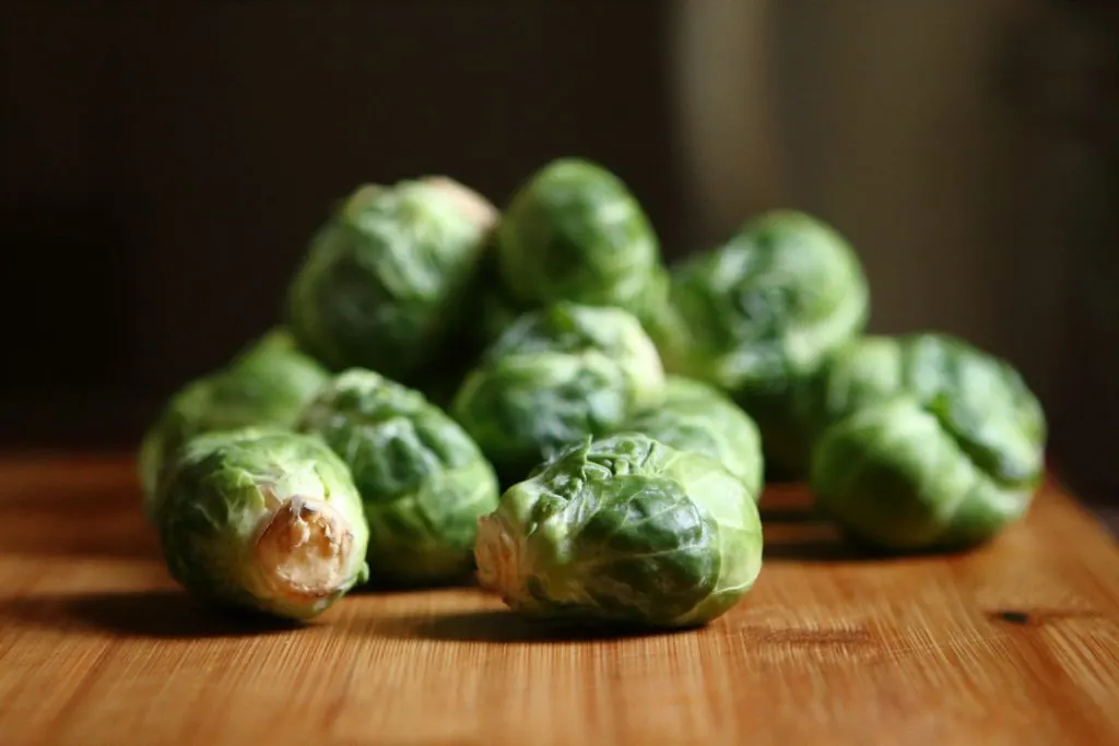 can dogs eat brussel sprouts