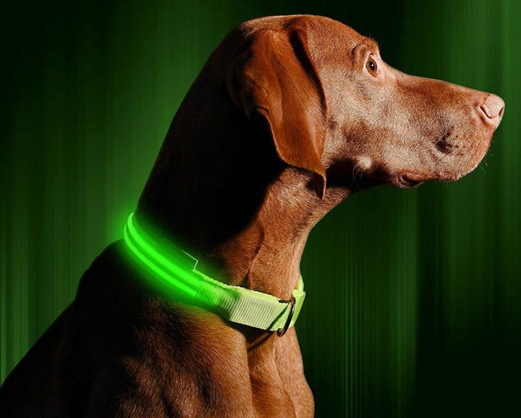 Light up dog collar Keep your pup safe