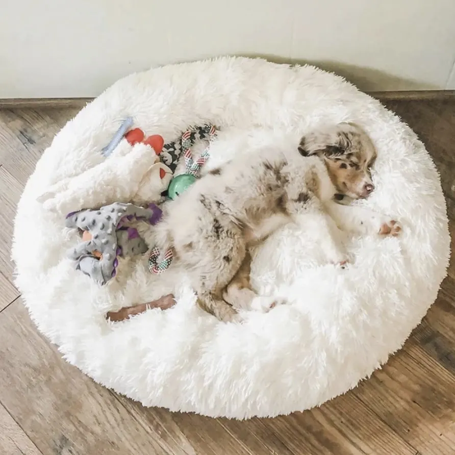 nest dog bed