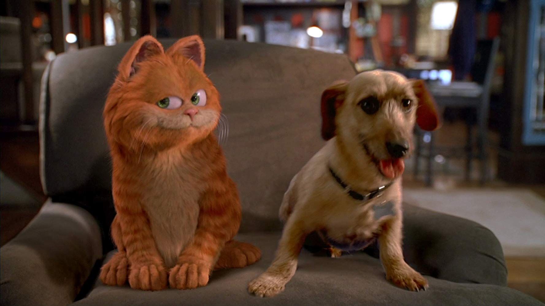 Garfields dog: What breed was Odie actually?