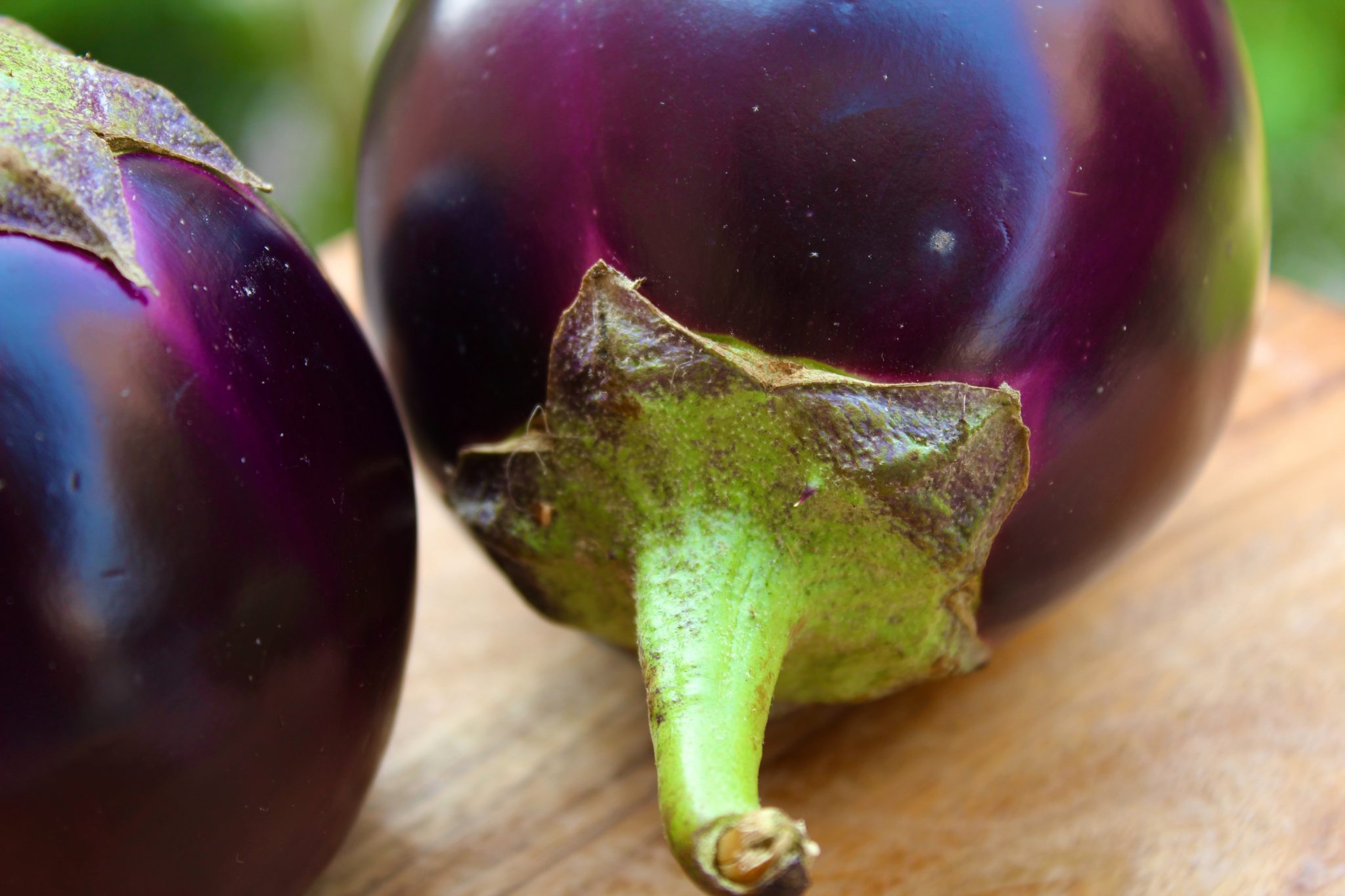 Can dogs have eggplant? How safe is it really?