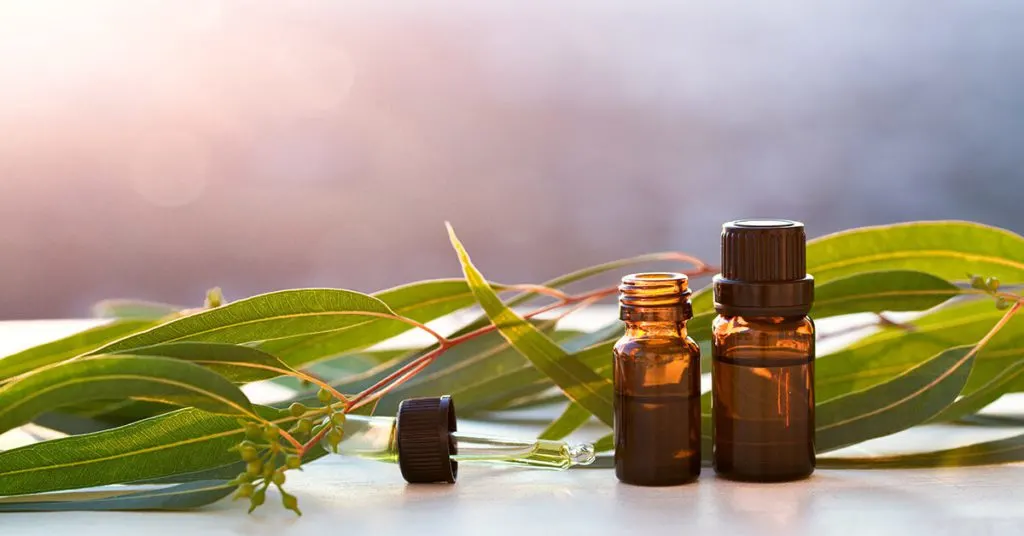 Is eucalyptus oil safe for dogs