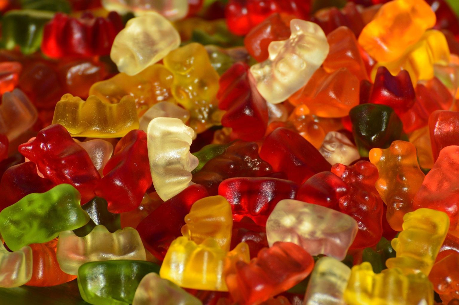 Can dogs have gummy bears?