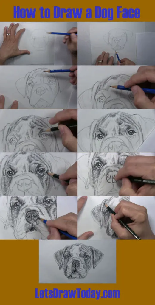 how to draw a dog face