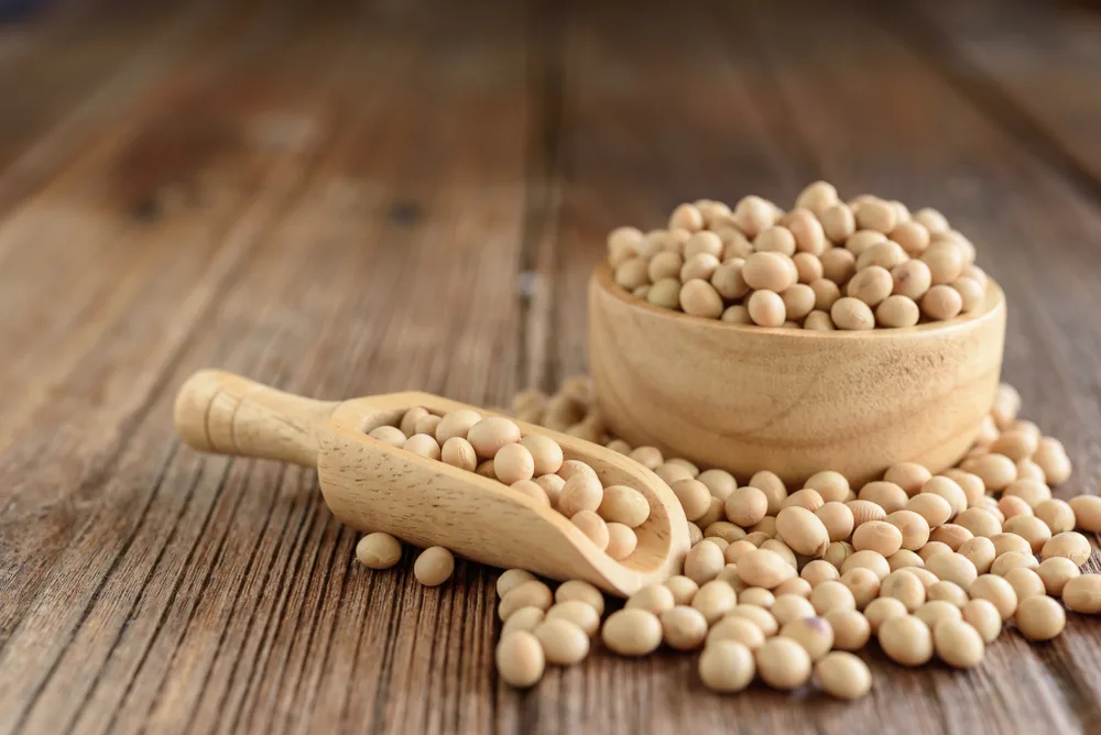 Can dogs eat soybeans? What you should know!