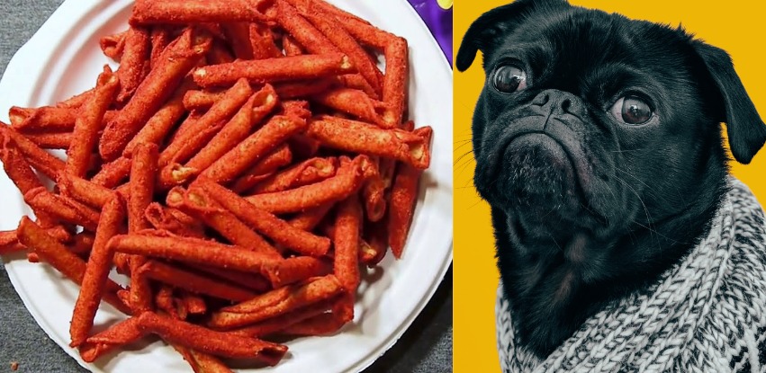 can dogs eat takis?