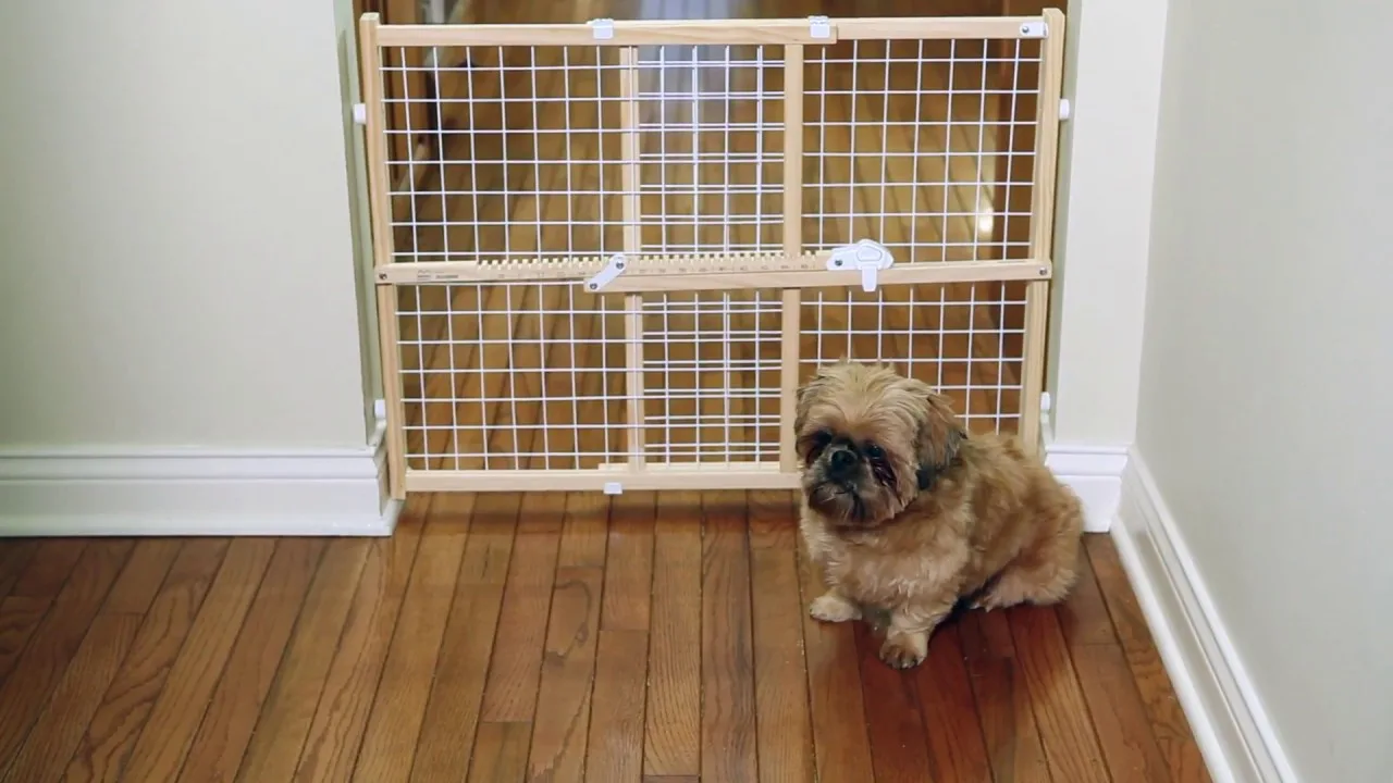 retractable dog gate