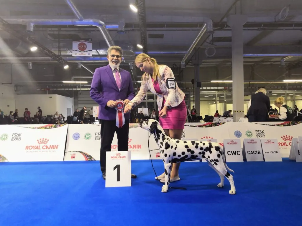 onofrio dog shows