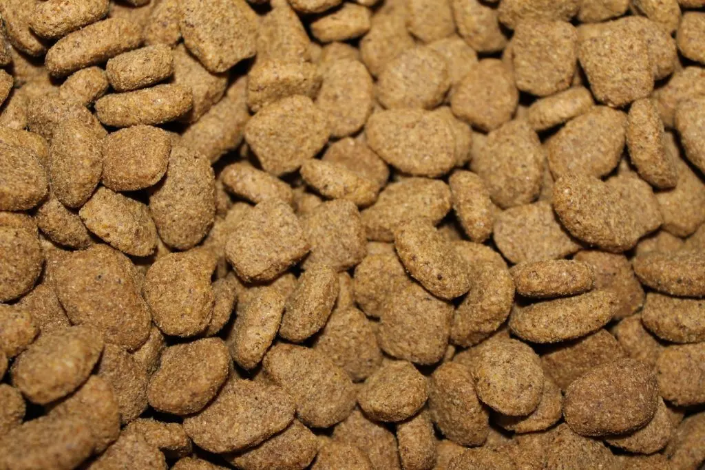 best dog food for german shepherd