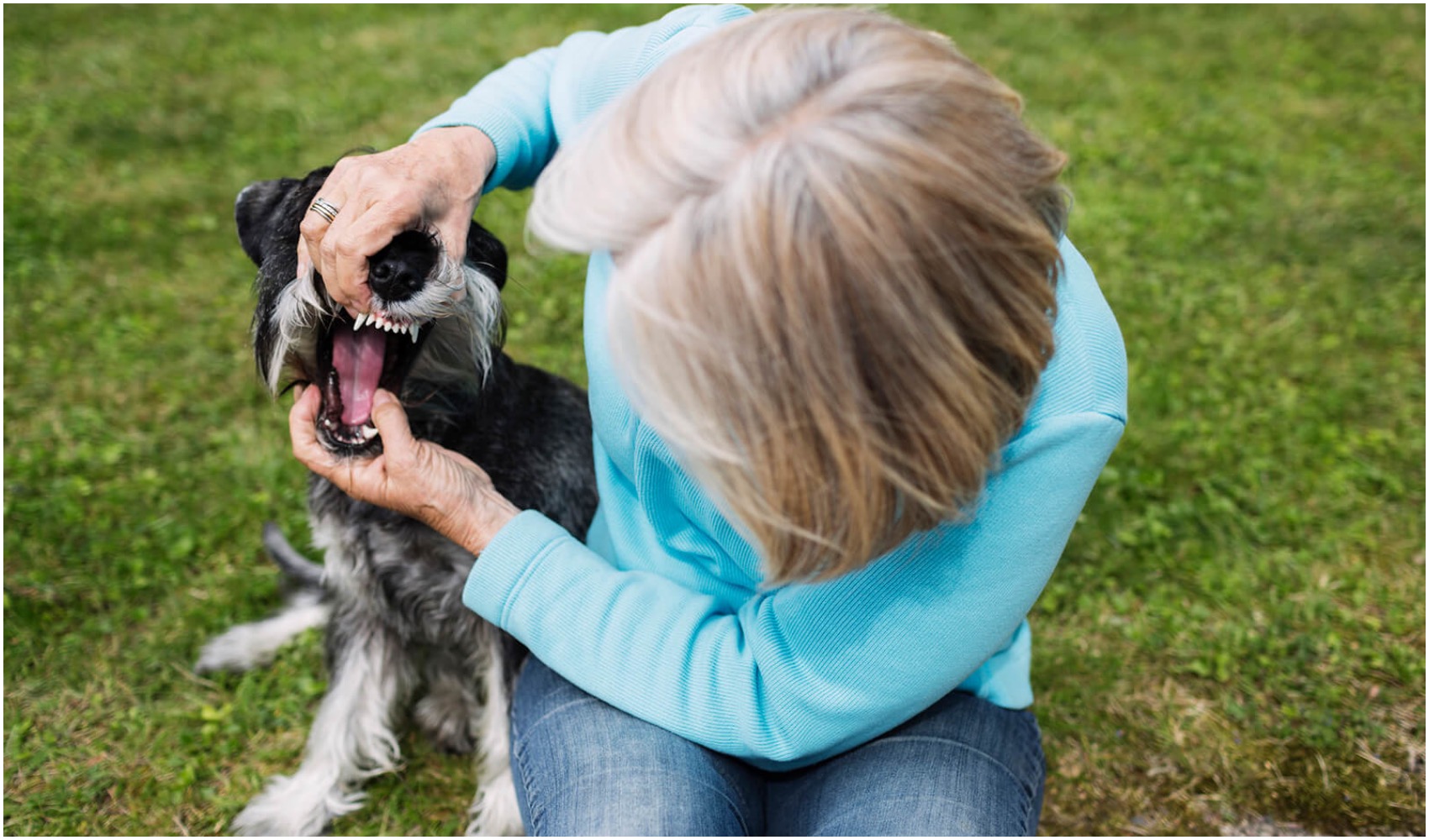 Dog Choking: What To Do?