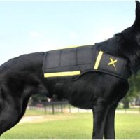 A dog weight vest is a great way to build up muscles in your canine
