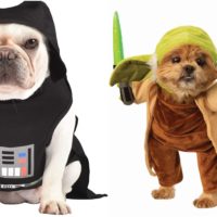 Different Star Wars dog costume for Halloween or other occasions