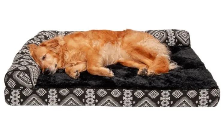 dog beds walmart