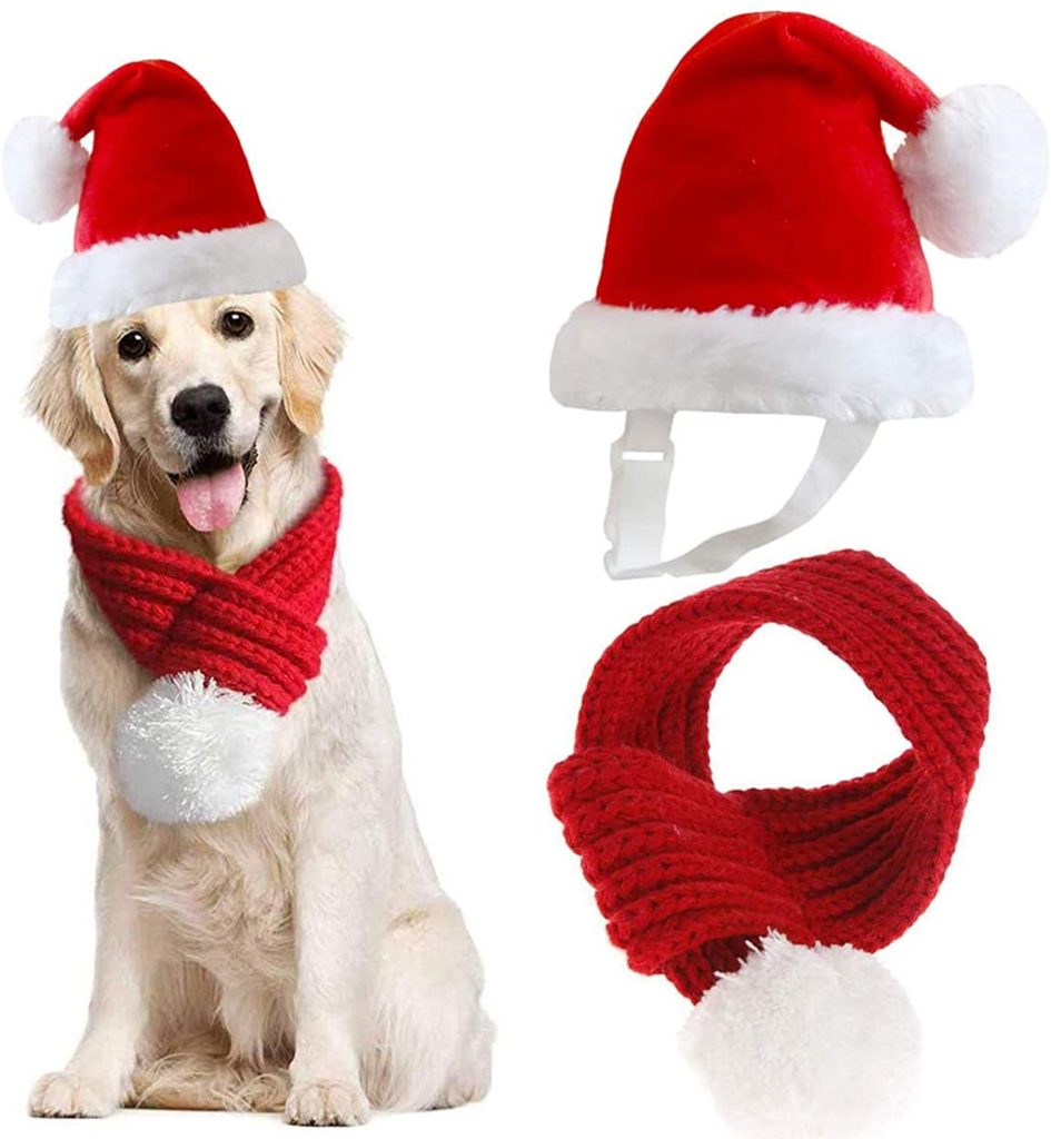dog Christmas hat