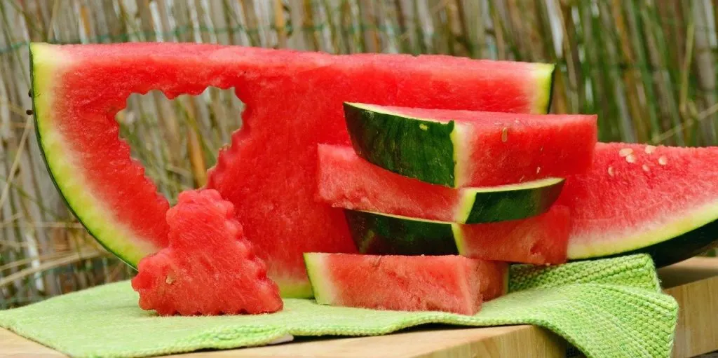 can dogs eat watermelon