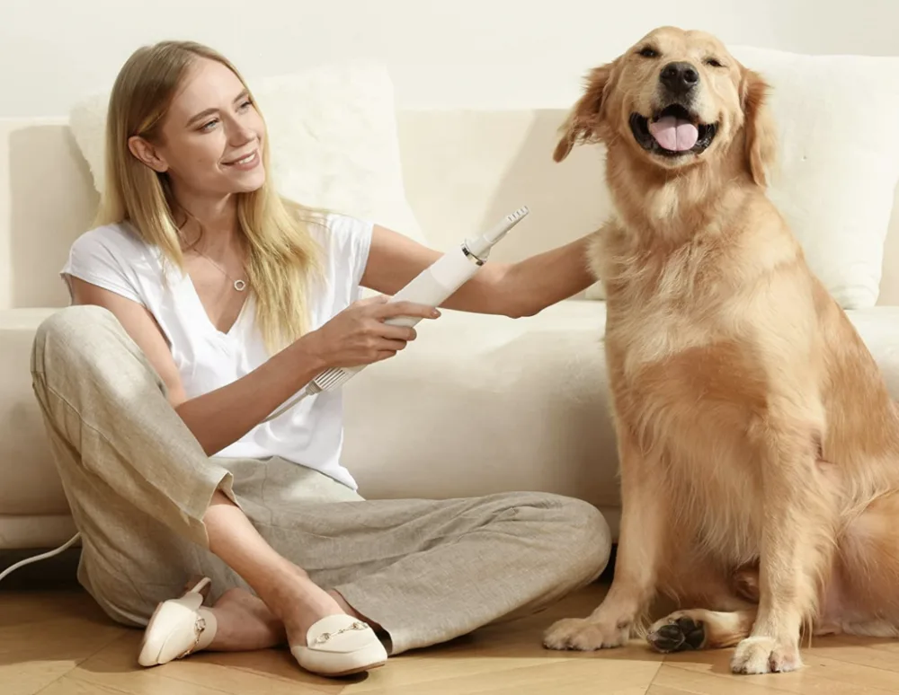 Uahpet dog hair dryer: Everything You Didn’t Know You Need