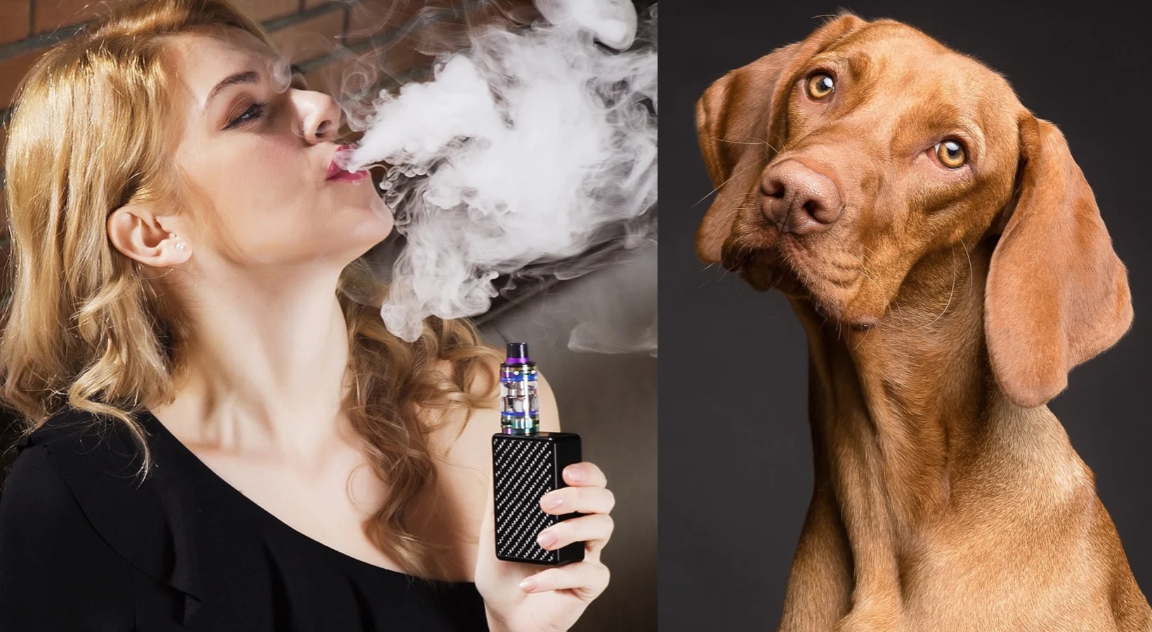 image of a woman with vape around dog