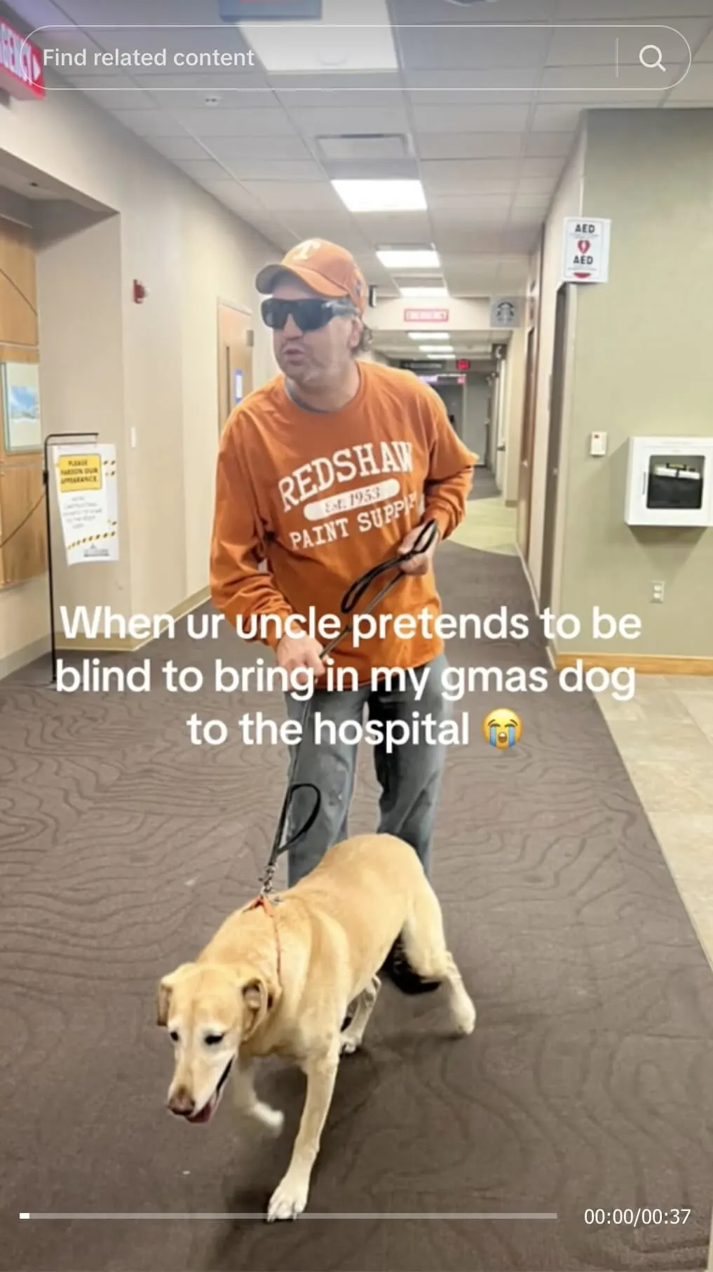 Uncle disguised the dog as a guide dog