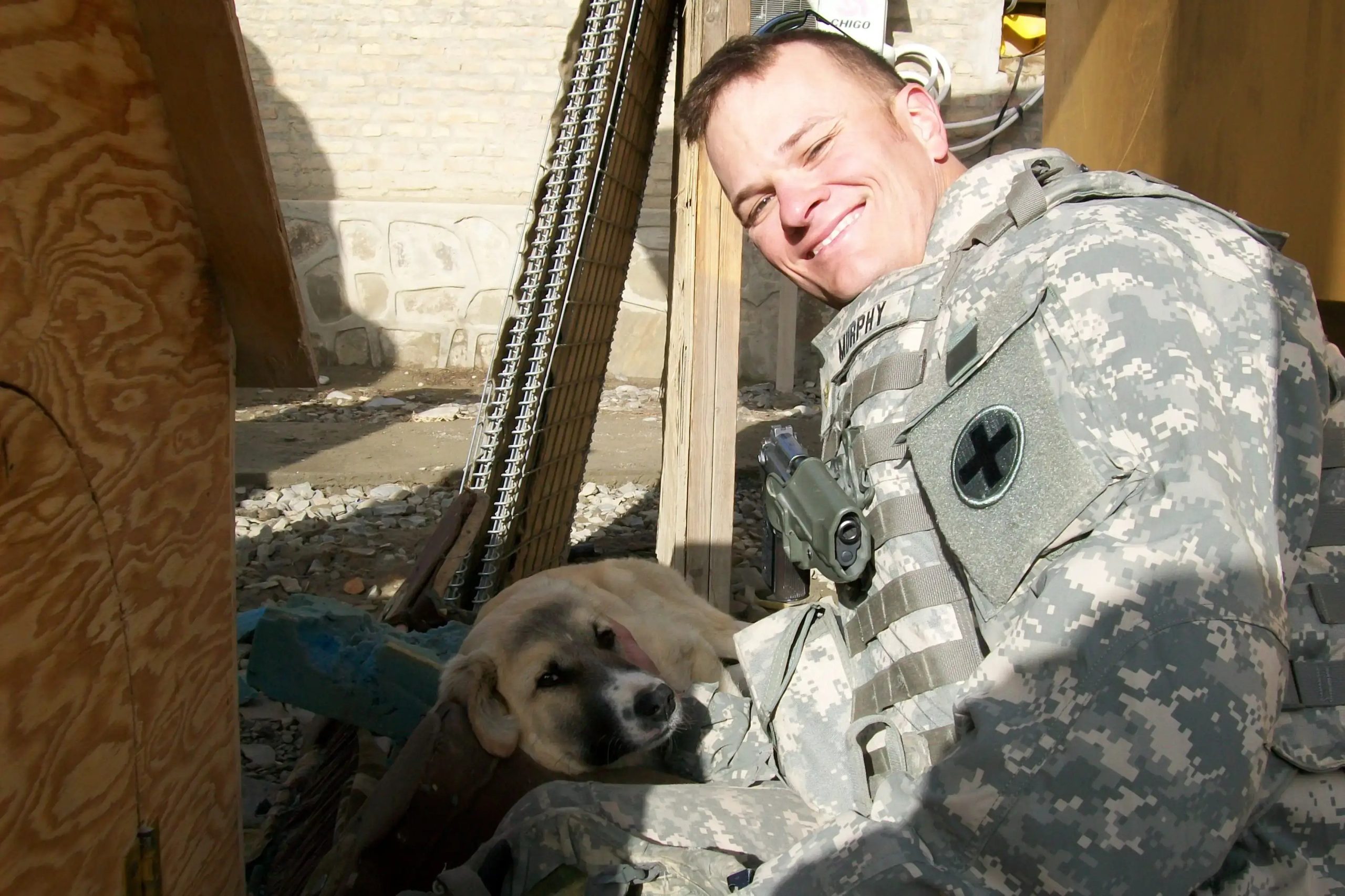The Tale of Hutch, the Afghan Pup, and His Army Veteran Saviour