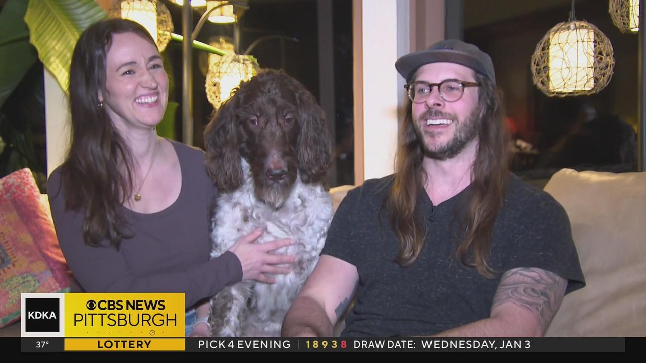 Pittsburgh Family Dog Eats $4,000 In Cash
