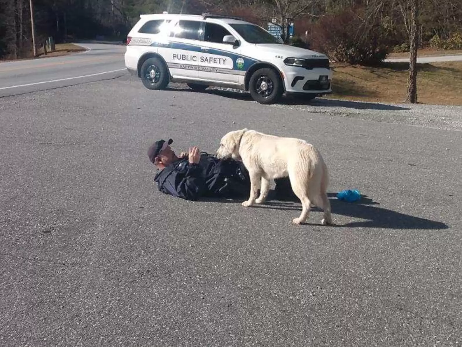 Officer Holcom’s Warmth Melts Sapphire’s Fears: A Stray Dog’s New Beginning