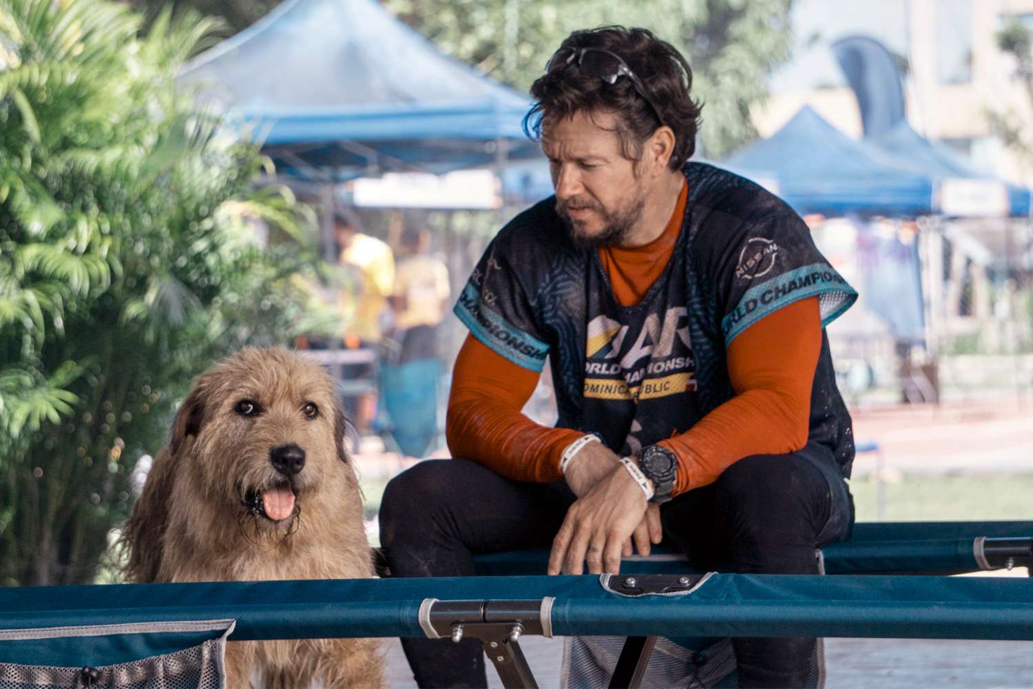 A Paw-some Connection: Mark Wahlberg’s Bond with Ukai